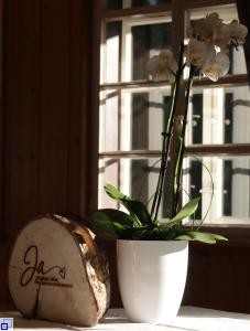 Deko Blume und Holzscheibe