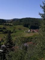 Blick auf Entenschwand Bild Stefanie Föhrenbach