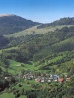 Schönenberg Panorama